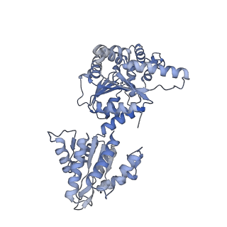 16234_8btp_G_v1-2
Helical structure of BcThsA in complex with 1''-3'gc(etheno)ADPR