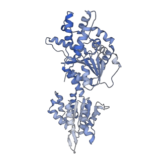 16234_8btp_H_v1-2
Helical structure of BcThsA in complex with 1''-3'gc(etheno)ADPR