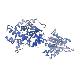 16234_8btp_I_v1-2
Helical structure of BcThsA in complex with 1''-3'gc(etheno)ADPR