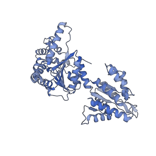 16234_8btp_J_v1-2
Helical structure of BcThsA in complex with 1''-3'gc(etheno)ADPR