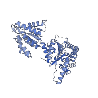 16234_8btp_K_v1-2
Helical structure of BcThsA in complex with 1''-3'gc(etheno)ADPR