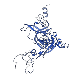 16235_8btr_LB_v1-2
Giardia Ribosome in PRE-T Hybrid State (D2)
