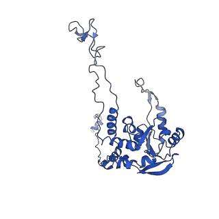 16235_8btr_LC_v1-2
Giardia Ribosome in PRE-T Hybrid State (D2)