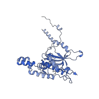 16235_8btr_LF_v1-2
Giardia Ribosome in PRE-T Hybrid State (D2)