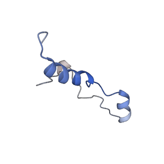 16235_8btr_LG_v1-2
Giardia Ribosome in PRE-T Hybrid State (D2)