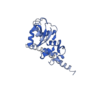 16235_8btr_LH_v1-2
Giardia Ribosome in PRE-T Hybrid State (D2)