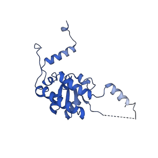 16235_8btr_LI_v1-2
Giardia Ribosome in PRE-T Hybrid State (D2)
