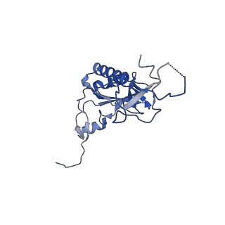 16235_8btr_LK_v1-2
Giardia Ribosome in PRE-T Hybrid State (D2)