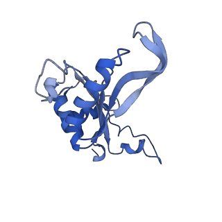 16235_8btr_LL_v1-2
Giardia Ribosome in PRE-T Hybrid State (D2)