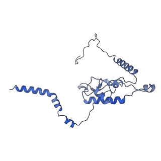 16235_8btr_LM_v1-2
Giardia Ribosome in PRE-T Hybrid State (D2)