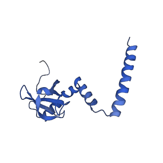 16235_8btr_LN_v1-2
Giardia Ribosome in PRE-T Hybrid State (D2)