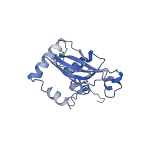 16235_8btr_LO_v1-2
Giardia Ribosome in PRE-T Hybrid State (D2)
