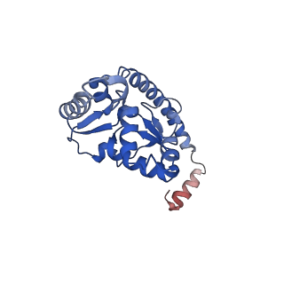 16235_8btr_LP_v1-2
Giardia Ribosome in PRE-T Hybrid State (D2)