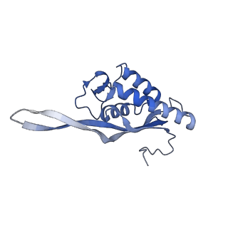 16235_8btr_LQ_v1-2
Giardia Ribosome in PRE-T Hybrid State (D2)