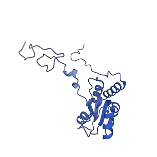 16235_8btr_LR_v1-2
Giardia Ribosome in PRE-T Hybrid State (D2)