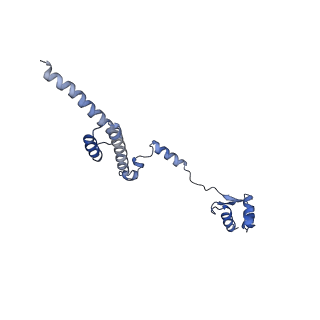 16235_8btr_LS_v1-2
Giardia Ribosome in PRE-T Hybrid State (D2)