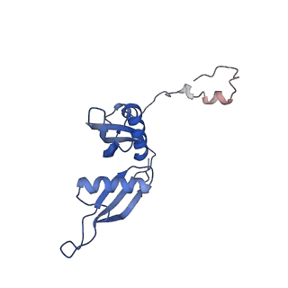 16235_8btr_LT_v1-2
Giardia Ribosome in PRE-T Hybrid State (D2)