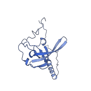 16235_8btr_LU_v1-2
Giardia Ribosome in PRE-T Hybrid State (D2)