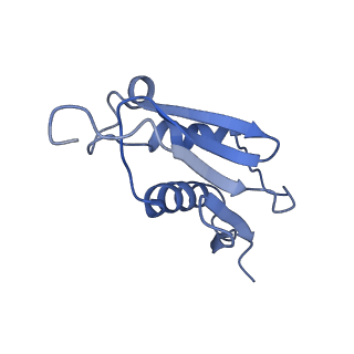 16235_8btr_LV_v1-2
Giardia Ribosome in PRE-T Hybrid State (D2)