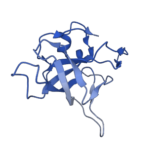 16235_8btr_LW_v1-2
Giardia Ribosome in PRE-T Hybrid State (D2)