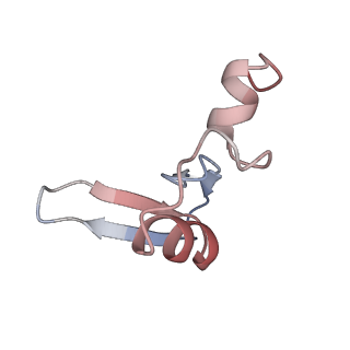 16235_8btr_LX_v1-2
Giardia Ribosome in PRE-T Hybrid State (D2)