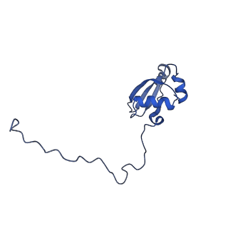 16235_8btr_LY_v1-2
Giardia Ribosome in PRE-T Hybrid State (D2)