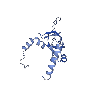 16235_8btr_LZ_v1-2
Giardia Ribosome in PRE-T Hybrid State (D2)