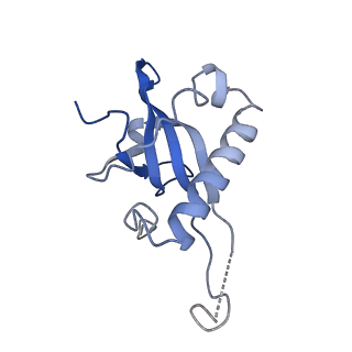 16235_8btr_La_v1-2
Giardia Ribosome in PRE-T Hybrid State (D2)
