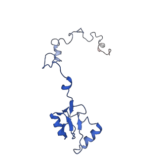 16235_8btr_Lb_v1-2
Giardia Ribosome in PRE-T Hybrid State (D2)