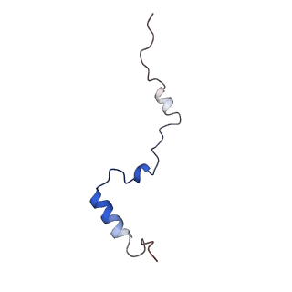 16235_8btr_Lc_v1-2
Giardia Ribosome in PRE-T Hybrid State (D2)