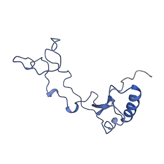 16235_8btr_Lf_v1-2
Giardia Ribosome in PRE-T Hybrid State (D2)