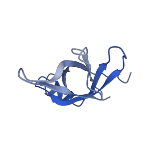 16235_8btr_Lg_v1-2
Giardia Ribosome in PRE-T Hybrid State (D2)