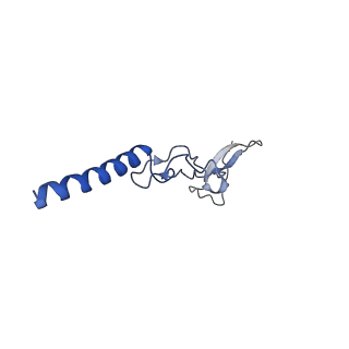 16235_8btr_Lh_v1-2
Giardia Ribosome in PRE-T Hybrid State (D2)