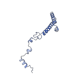 16235_8btr_Li_v1-2
Giardia Ribosome in PRE-T Hybrid State (D2)