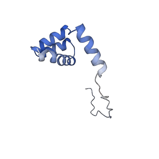 16235_8btr_Lj_v1-2
Giardia Ribosome in PRE-T Hybrid State (D2)