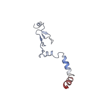 16235_8btr_Lk_v1-2
Giardia Ribosome in PRE-T Hybrid State (D2)