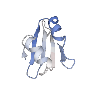 16235_8btr_Ll_v1-2
Giardia Ribosome in PRE-T Hybrid State (D2)