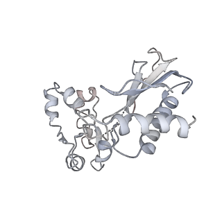16235_8btr_Ln_v1-2
Giardia Ribosome in PRE-T Hybrid State (D2)