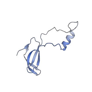 16235_8btr_Lp_v1-2
Giardia Ribosome in PRE-T Hybrid State (D2)