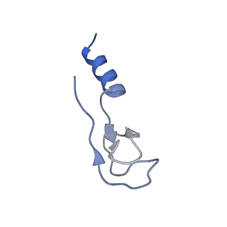 16235_8btr_Ls_v1-2
Giardia Ribosome in PRE-T Hybrid State (D2)