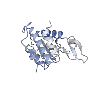 16235_8btr_SA_v1-2
Giardia Ribosome in PRE-T Hybrid State (D2)