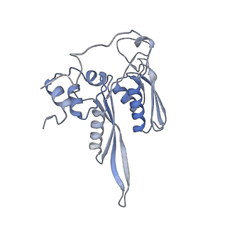 16235_8btr_SB_v1-2
Giardia Ribosome in PRE-T Hybrid State (D2)