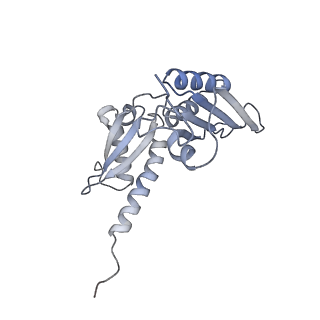 16235_8btr_SC_v1-2
Giardia Ribosome in PRE-T Hybrid State (D2)