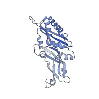 16235_8btr_SD_v1-2
Giardia Ribosome in PRE-T Hybrid State (D2)