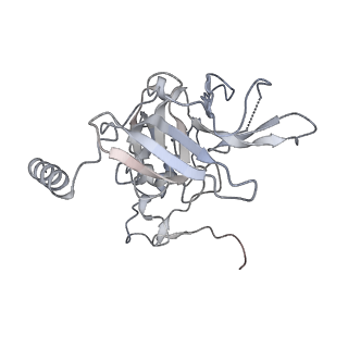 16235_8btr_SE_v1-2
Giardia Ribosome in PRE-T Hybrid State (D2)