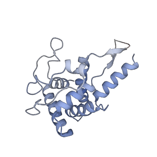 16235_8btr_SF_v1-2
Giardia Ribosome in PRE-T Hybrid State (D2)