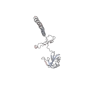 16235_8btr_SG_v1-2
Giardia Ribosome in PRE-T Hybrid State (D2)