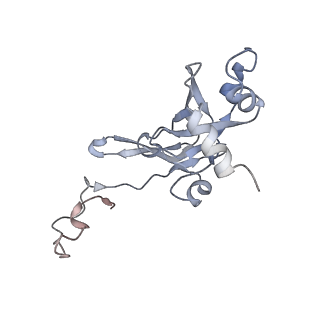 16235_8btr_SI_v1-2
Giardia Ribosome in PRE-T Hybrid State (D2)