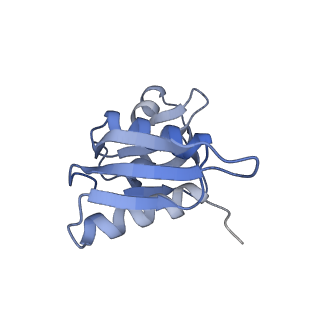 16235_8btr_SJ_v1-2
Giardia Ribosome in PRE-T Hybrid State (D2)