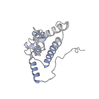 16235_8btr_SK_v1-2
Giardia Ribosome in PRE-T Hybrid State (D2)